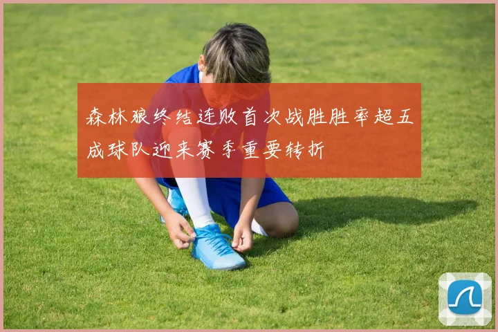 森林狼终结连败首次战胜胜率超五成球队迎来赛季重要转折