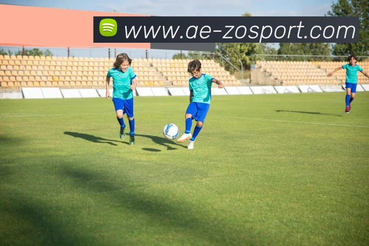 中欧足球官网平台生态图