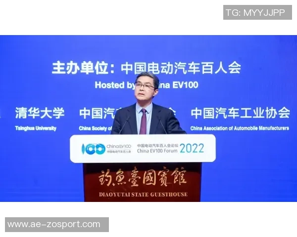 德足协副主席提名揭示内部权力斗争与多元代表的博弈